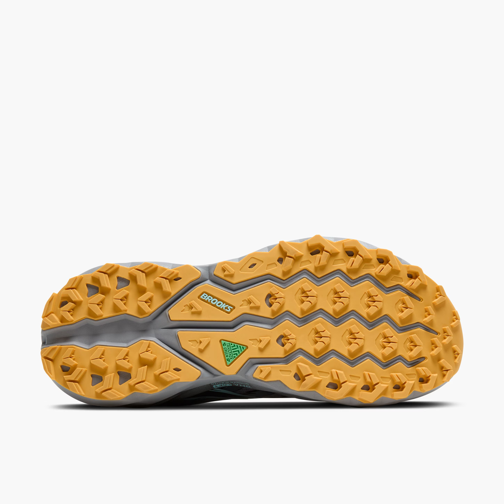 Cascadia 19