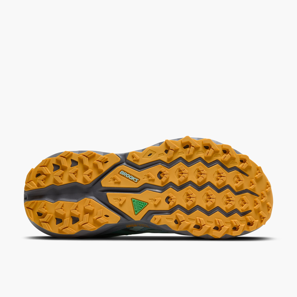 Cascadia 19